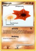 Phagocyte