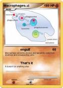 Macrophages
