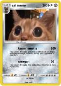 cat meme