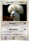 Lama scott