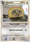 BRIOCHAT