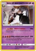 BOX OF BIG CAAT