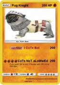 Pug Knight