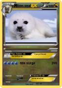 lion seal