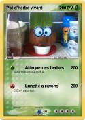 Pot d'herbe viv
