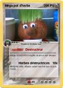 Méga pot d'herb