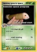 hammey goes to