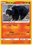 Sloth Bears