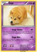 Doge