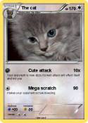 The cat
