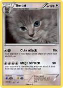 The cat