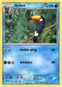 fly bird
