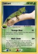 Catlizard