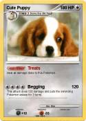 Cute Puppy