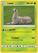 Llama