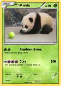TinyPanda
