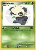panda bear