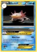 Axolotl