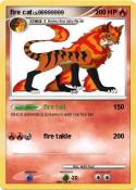 fire cat