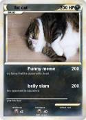 fat cat