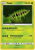 Plante