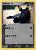 umbreon cat