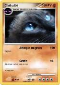 Chat