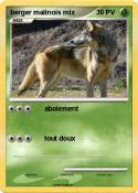 berger malinois