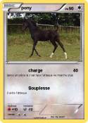 pony