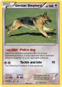 German Shepherd
