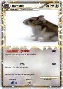 hamster