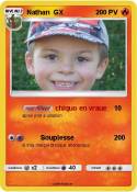 Nathan GX