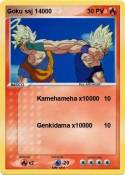 Goku ssj 14000