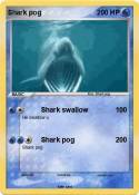 Shark pog