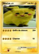 PikaCat