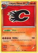 Calgary flames