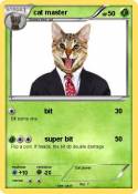 cat master