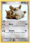 Kitten