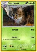 jasy the cat
