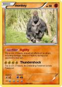 monkey