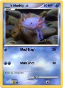 ___'s Mudkip