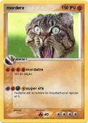 mordere