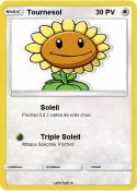 Tournesol