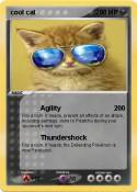 cool cat