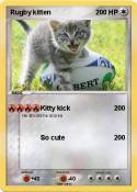Rugby kitten
