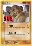sussy dog
