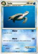 Turtle