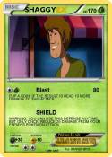SHAGGY