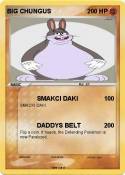 BIG CHUNGUS