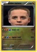 golden barbeur